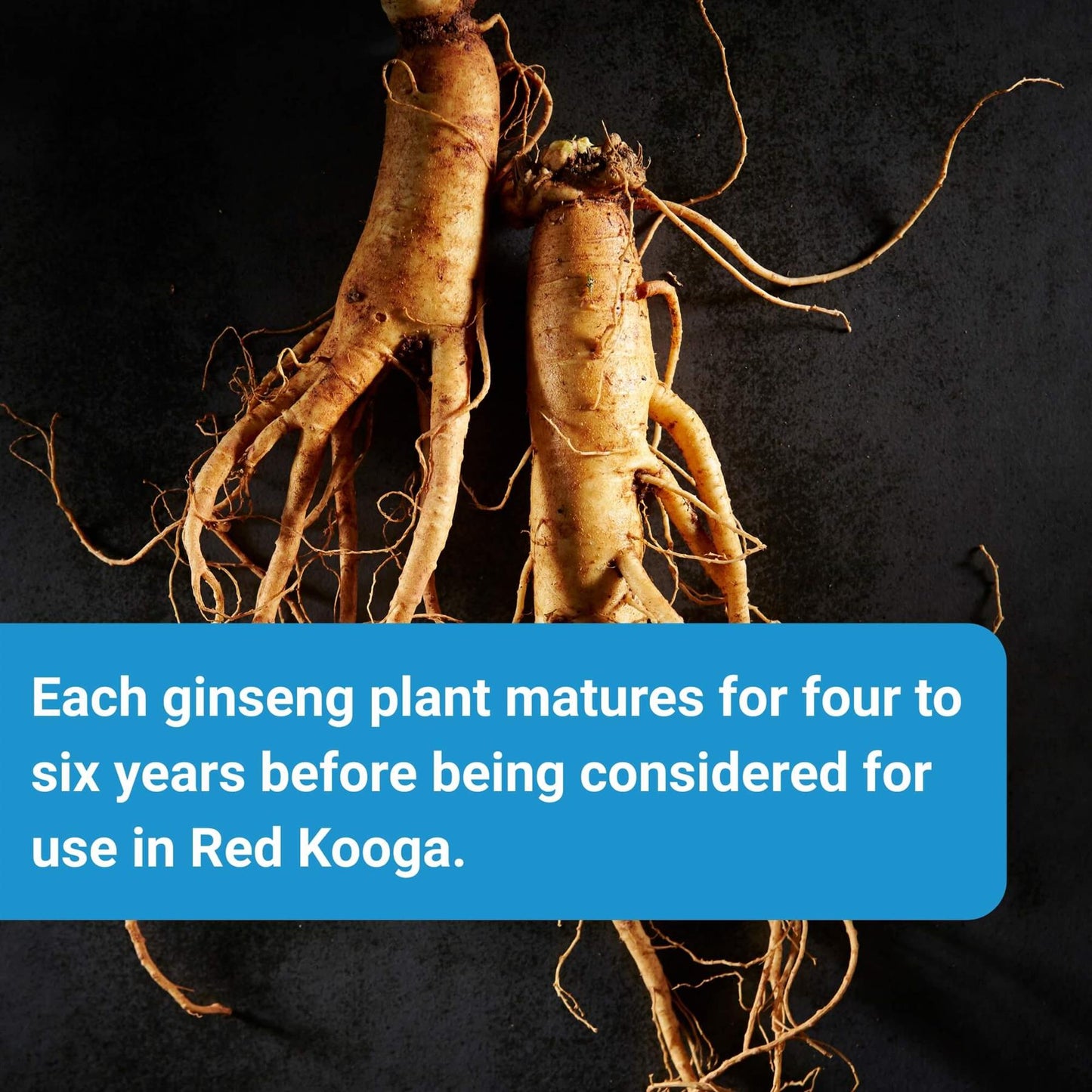 Red Kooga Korean Ginseng & Multivitamin + Minerals 32 Tablets