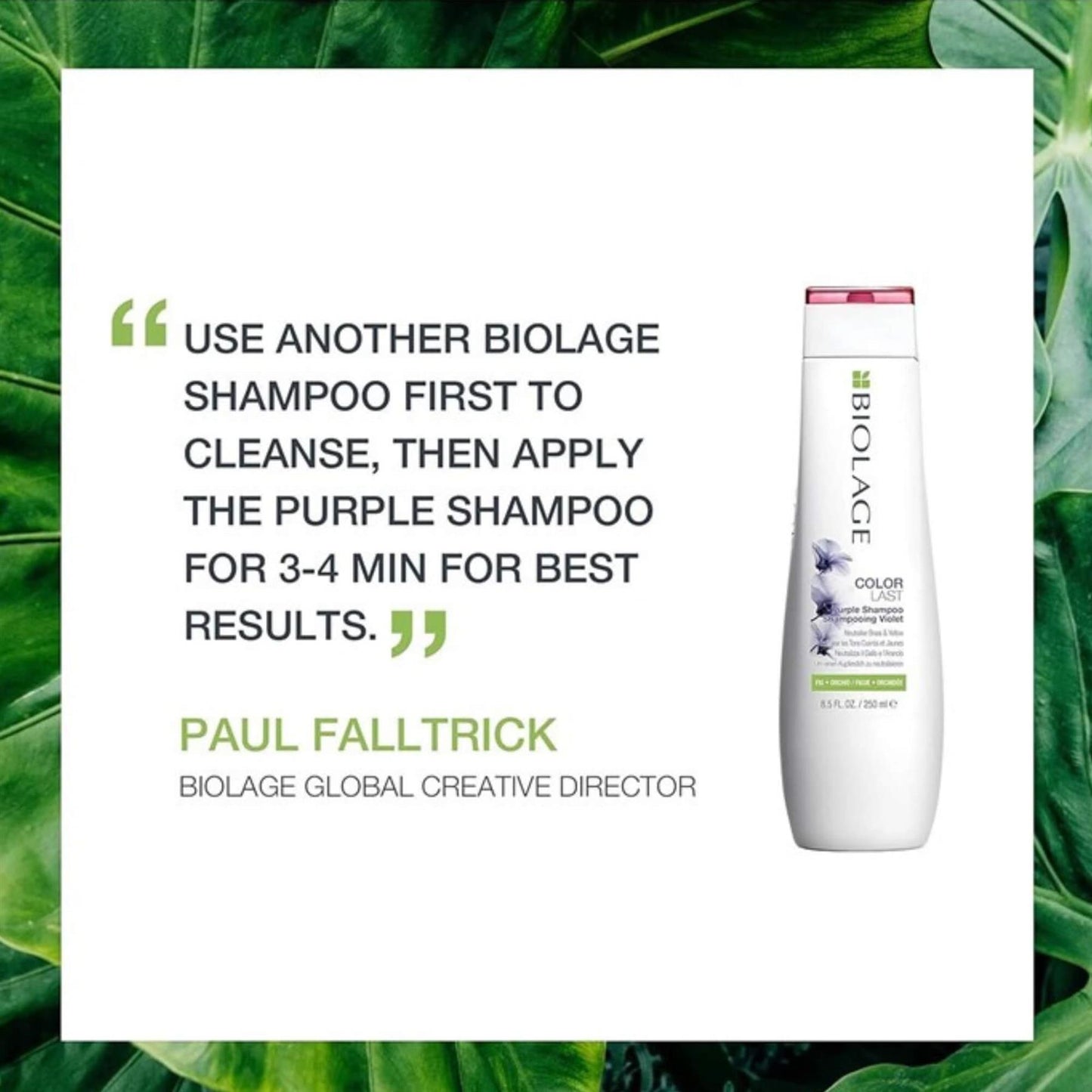 Matrix Biolage Colour Last Purple Shampoo