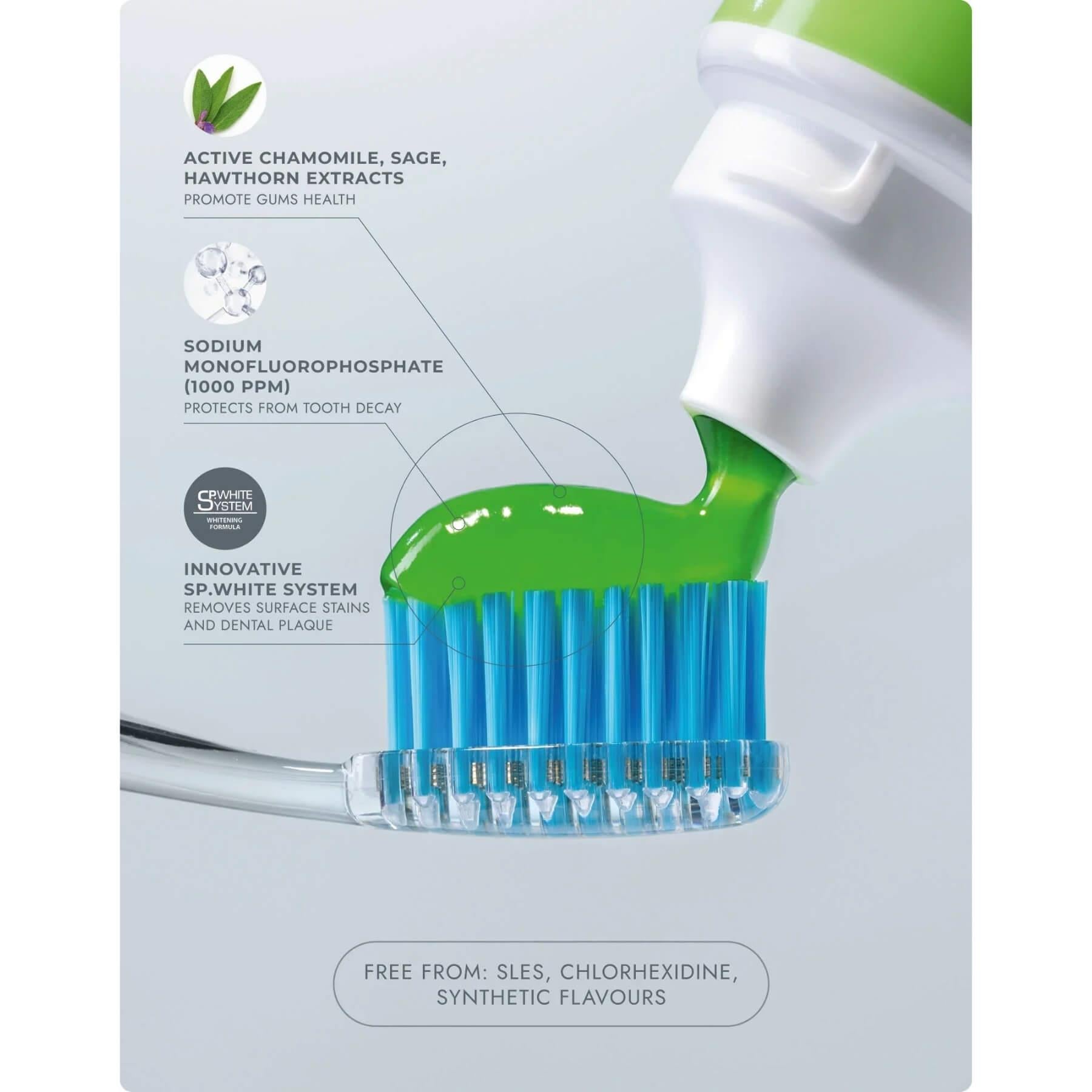 A toothbrush with blue bristles and a clear head is shown with bright green toothpaste being dispensed from a white and green squeeze tube. The background is a very light gray/white card with text callouts about chamomile, sage, hawthorn extracts, sodium monofluorophosphate, and an SP-white system.