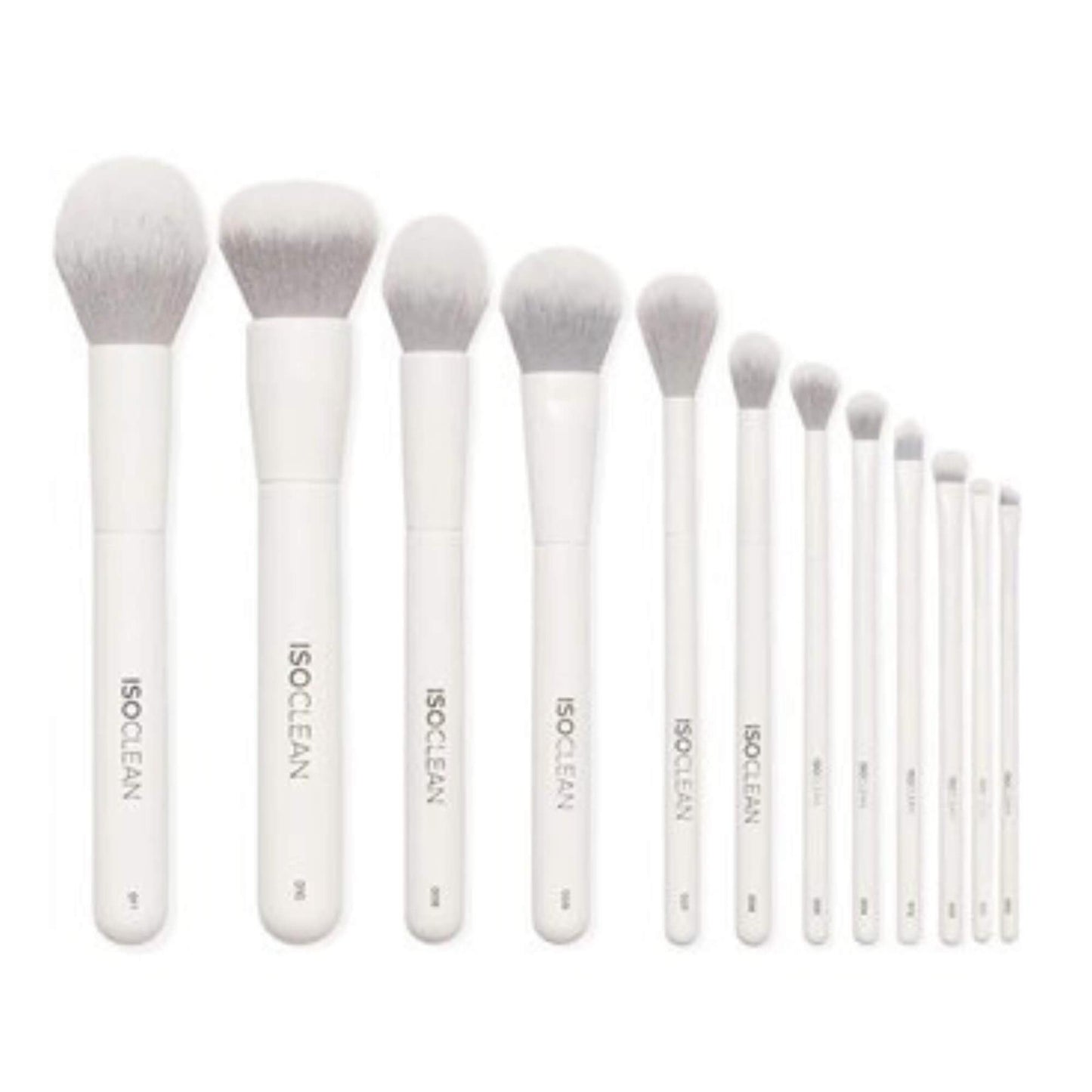ISOCLEAN 12pc Brush Box Set