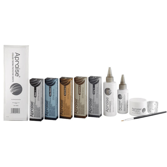 Apraise Salon Tinting Starter Kit