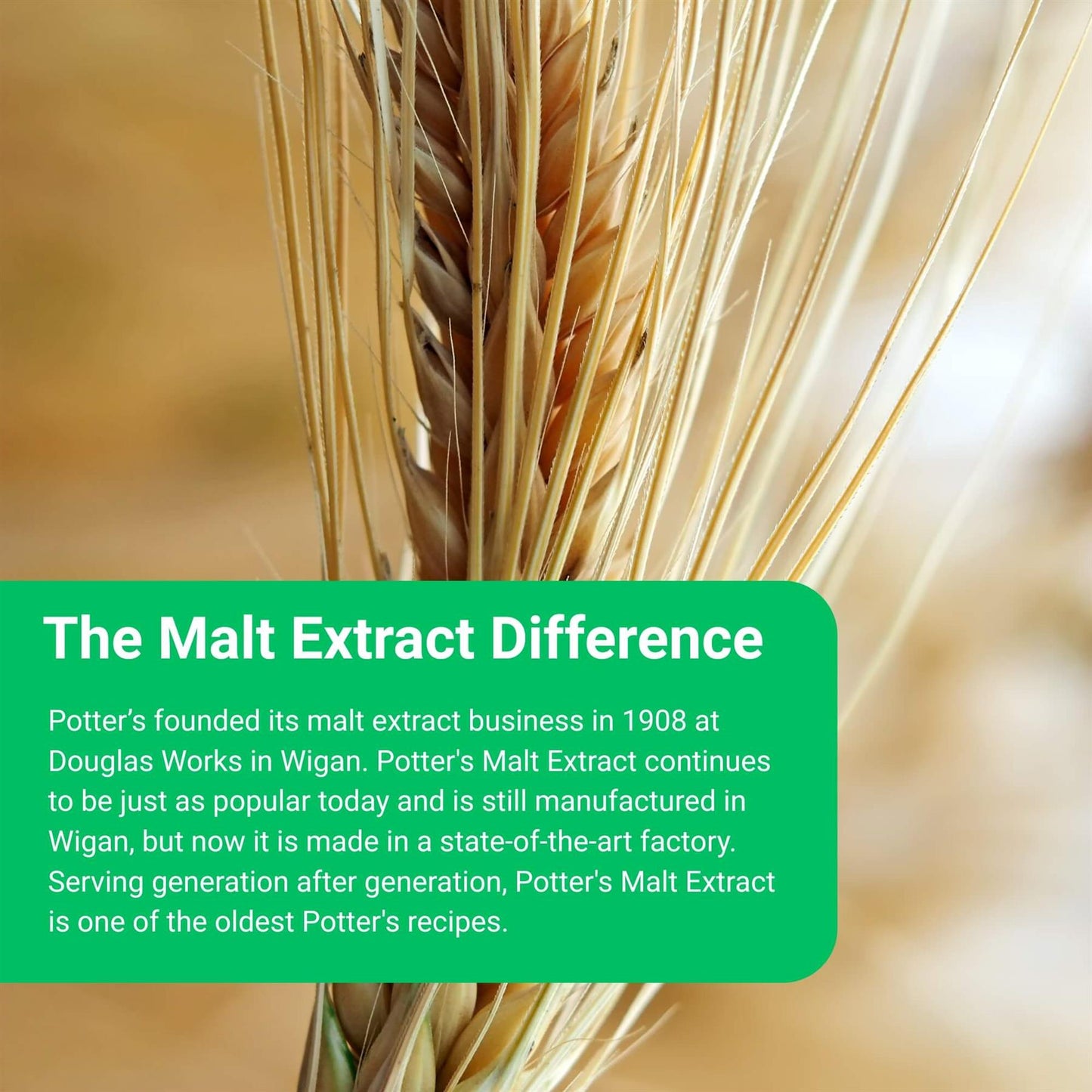 Potter's Barley Malt Extract Syrup 650g