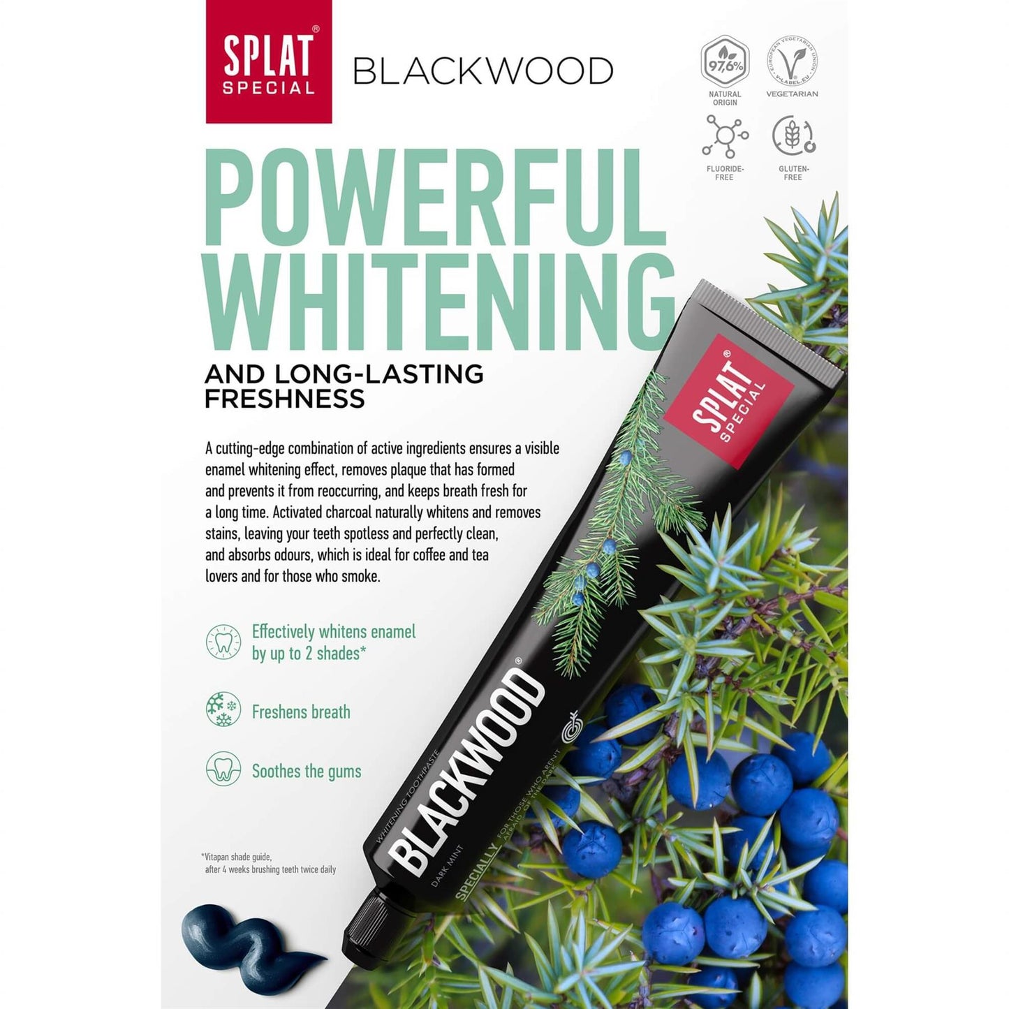 Splat Special Blackwood Toothpaste 100ml
