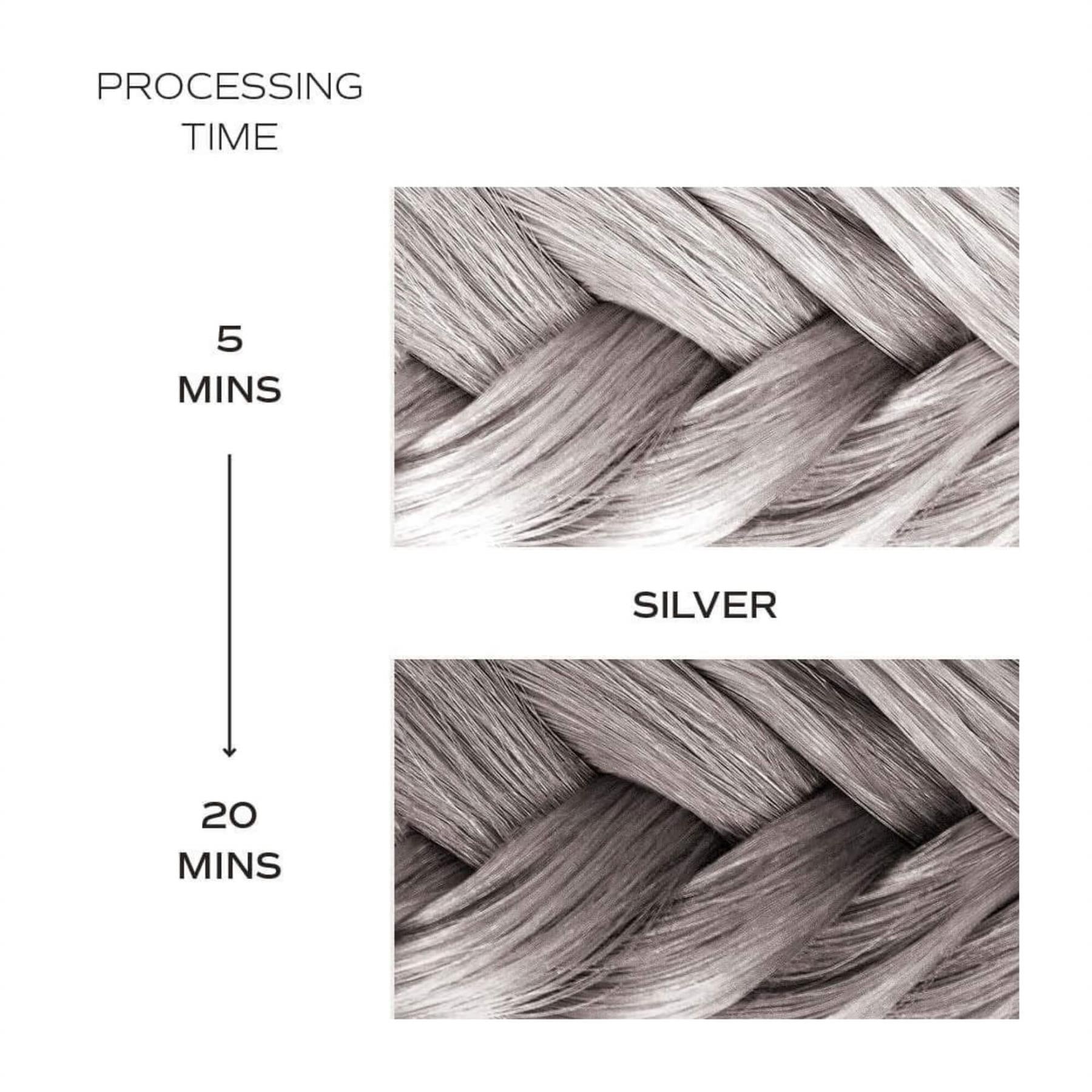 Danger Jones Artistic Toner Silver processing time comparison showing cool metallic depth after 5 minutes and 20 minutes