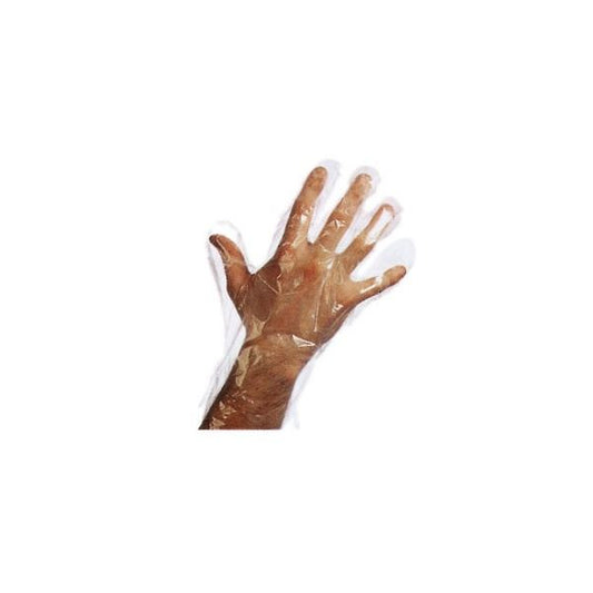 Disposable Gloves - 100 Pack
